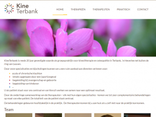 Screenshot website Kine Terbank